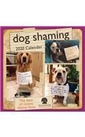 Dog Shaming 2020 Wall Calendar