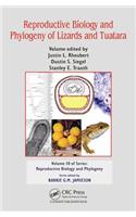 Reproductive Biology and Phylogeny of Lizards and Tuatara