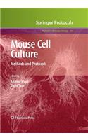 Mouse Cell Culture