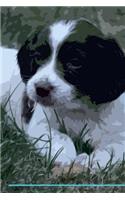 English Springer Spaniel Affirmations Workbook English Springer Spaniel Presents: Positive and Loving Affirmations Workbook. Includes: Mentoring Questions, Guidance, Supporting You.
