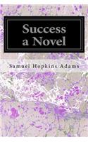 Success a Novel