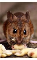 Wood Mouse (Apodermus Sylvaticus) Journal: 150 page lined notebook/diary