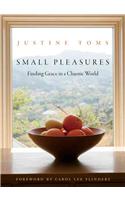 Small Pleasures: Finding Grace in a Chaotic World