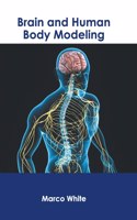 Brain and Human Body Modeling