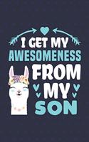 I Get My Awesomeness From My Son
