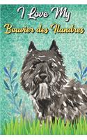 I Love My Bouvier des Flandres: Affirmations Journal and Adult Coloring Book for Doggy Pet Owners or Anyone that Likes Dogs. Booklet include Daily Anxiety Relief Pages.