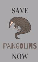 Save Pangolins Now