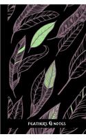 feathers & notes