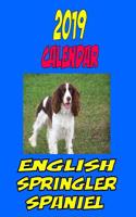 2019 Calendar English Springler Spaniel: Dog calendar, personal contacts, password logs, notes, to do list and more