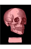 Red Skull Composition Notebook: College Ruled (7.44 X 9.69) Vintage Anatomy Human Head Engraving