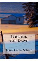 Looking for Dawn