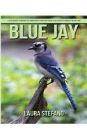 Blue Jay