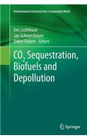 CO2 Sequestration, Biofuels and Depollution
