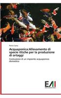 Acquaponica: Allevamento di specie ittiche per la produzione di ortaggi