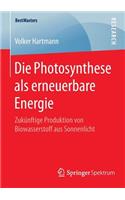 Die Photosynthese ALS Erneuerbare Energie: Zukünftige Produktion Von Biowasserstoff Aus Sonnenlicht