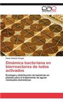 Dinámica bacteriana en biorreactores de lodos activados