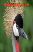Kronenkranich