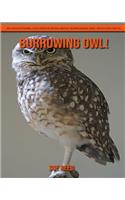 Burrowing Owl! An Educational Children's Book about Burrowing Owl with Fun Facts