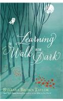 Learning to Walk in the Dark