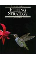 Feeding Strategy