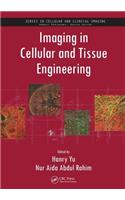 Imaging in Cellular and Tissue Engineering