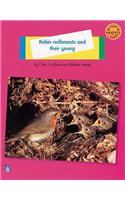 Robin Redbreast and their young Non-Fiction 1