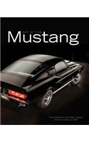 Art of the Mustang