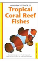 Tropical Coral Reef Fishes