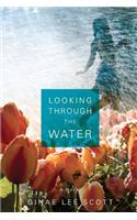 Looking Through the Water
