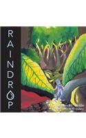 Raindrop