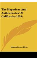 Hepaticae And Anthocerotes Of California (1899)