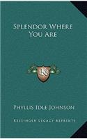 Splendor Where You Are