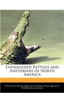 Endangered Reptiles and Amphibians of North America