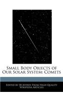 Small Body Objects of Our Solar System