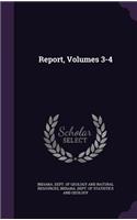 Report, Volumes 3-4