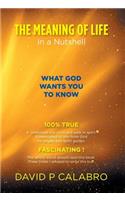 The Meaning of Life in a Nutshell: What God Wants You to Know