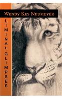 Liminal Glimpses