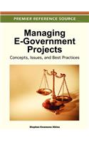 Managing E-Government Projects