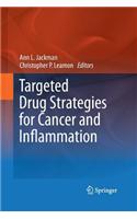 Targeted Drug Strategies for Cancer and Inflammation