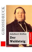 Der Waldsteig (Großdruck)