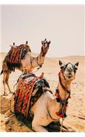 Two Camels in the Desert Journal