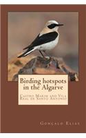 Birding Hotspots in the Algarve