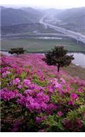 Pink Rhododendron Flowering Bushes on a Hillside Nature Journal: 150 Page Lined Notebook/Diary