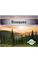 Bosques (Forest Biome) (Spanish Version)