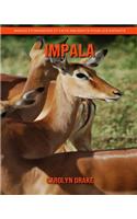 Impala