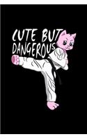 Karate Taekwondo Cat - Cute But Dangerous