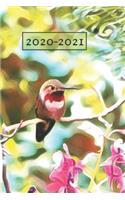 Green Hummingbird Lover's Ruby Red Throated Garden bird Dated Weekly 2 year Calendar Planner: Cute Small Pocket/Purse Size To-Do Lists, Tasks, Notes, Appointments at-A-Glance Schedule Notebook for a Man or Woman(89 Years: Jan 2020 - Dec 2021, 25 Months Weekly Planner Book)