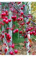2019 Weekly Planner Fall Tree Red Berries 134 Pages