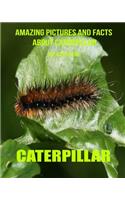 Caterpillar