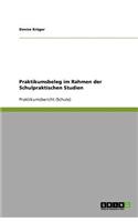 Praktikumsbeleg im Rahmen der Schulpraktischen Studien
